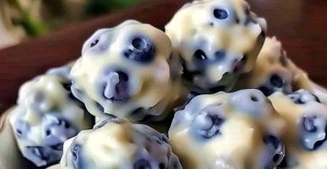 Blueberry Yogurt Protein Bites